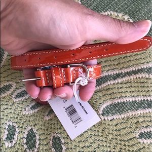 ☀️🌴 Leather Dog Collar | Made in Italy